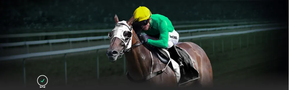 决战巅峰,四强席位仅,余两席,世界杯半决赛,2026世界杯,足球赛事,半决赛分析,精彩对战