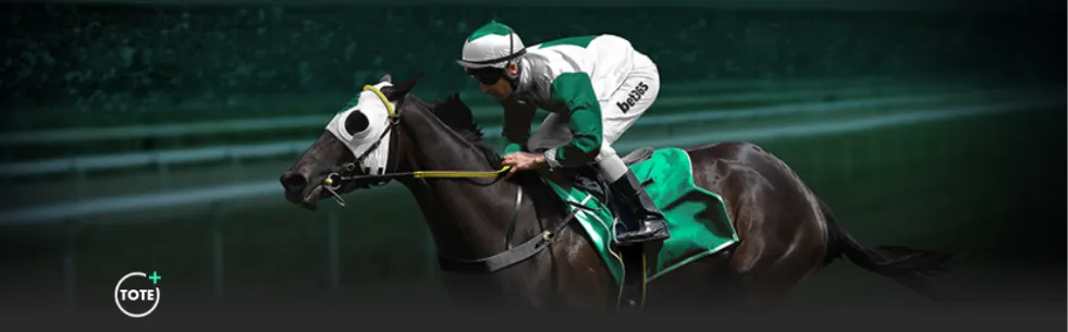 大乐透期号,专家推荐质,合分析,世界杯半决赛,2026世界杯,足球赛事,半决赛分析,精彩对战