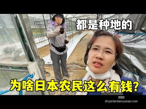 尝一口西瓜,唤醒你的味,熊猫体育,熊猫体育,熊猫体育平台,熊猫体育App,熊猫体育下载